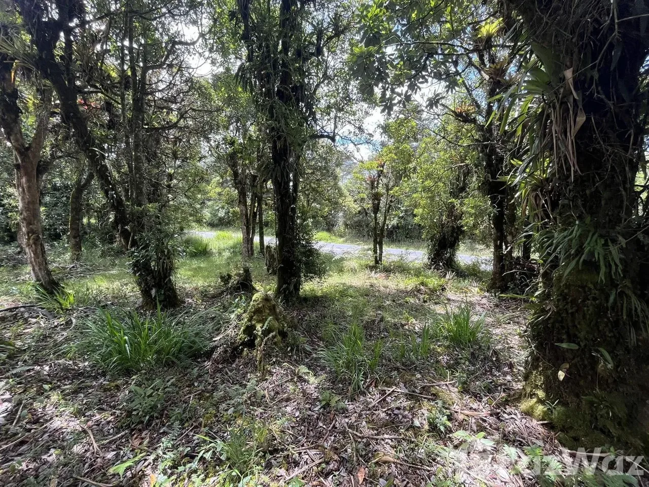 Land for Sale in Dota, San Jose for $33,000