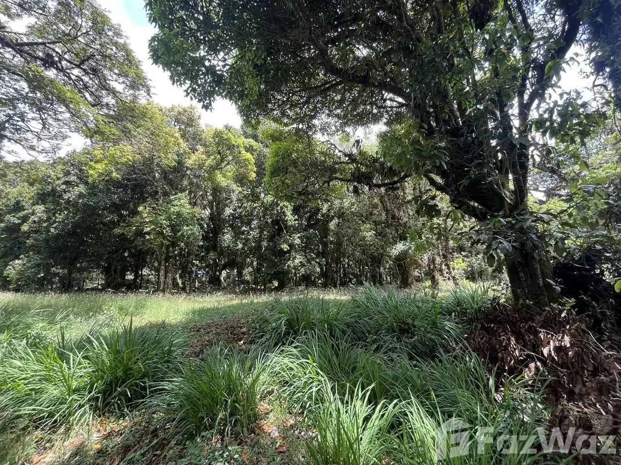 Land for Sale in Dota, San Jose for $33,000 — photo 2