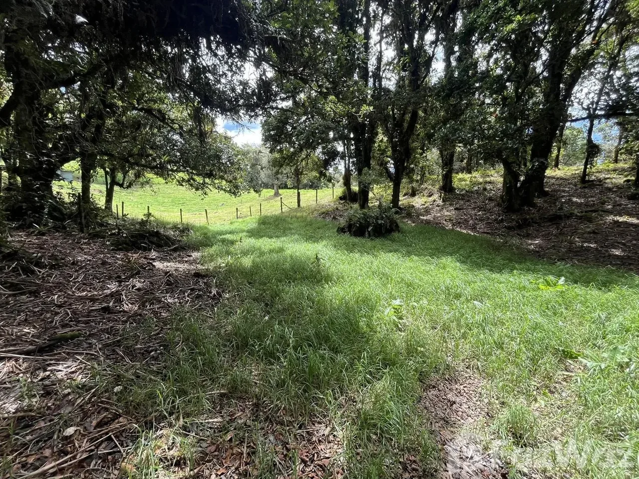 Land for Sale in Dota, San Jose for $33,000 — photo 4