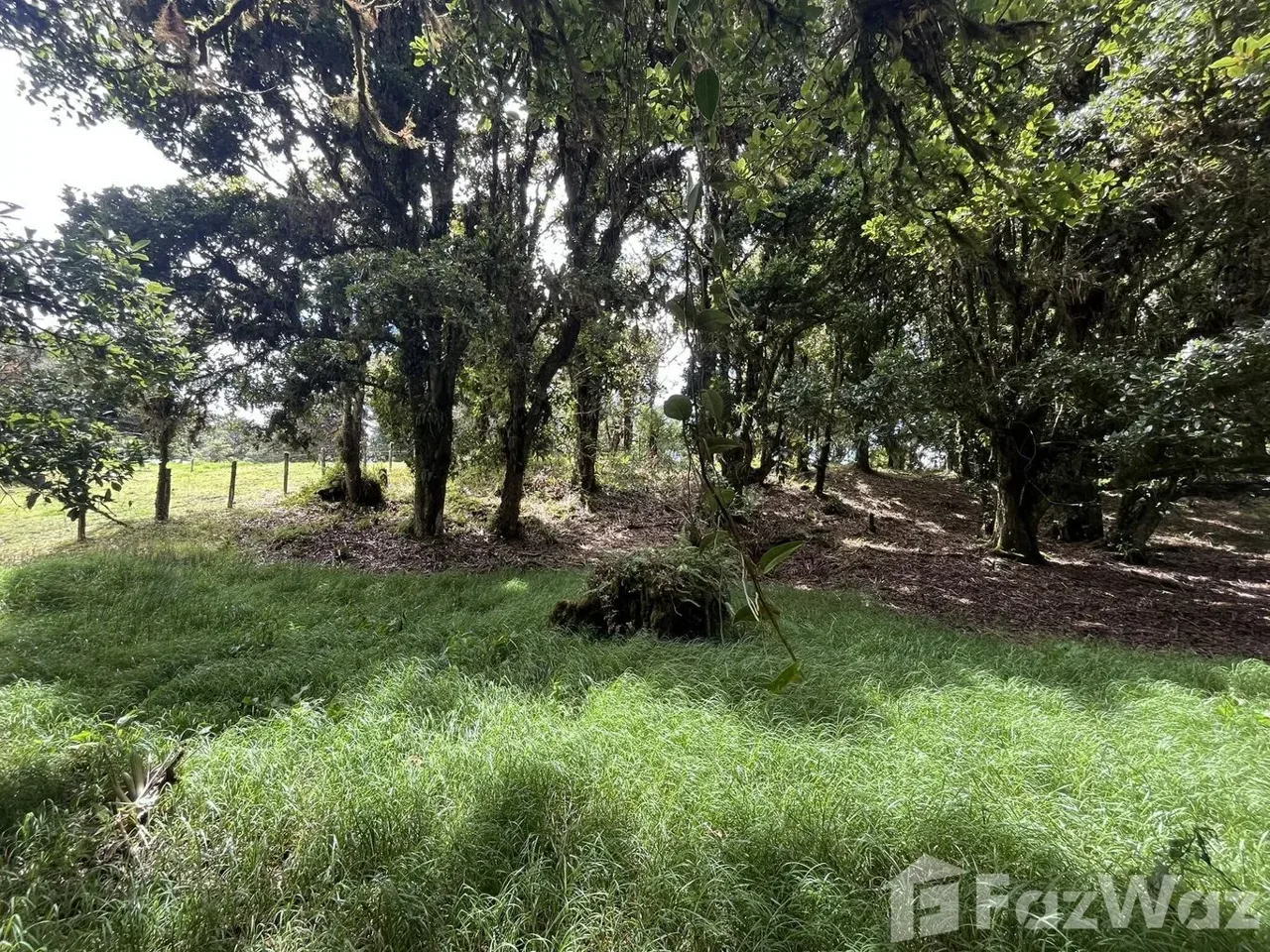 Land for Sale in Dota, San Jose for $33,000 — photo 5