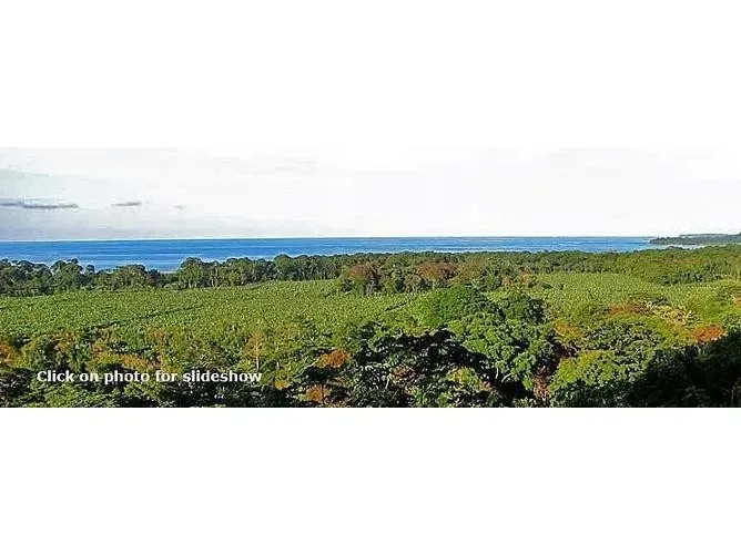 Land for Sale in Talamanca, Limon for $659,000
