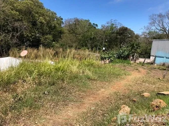 Land for Sale in Tilaran, Guanacaste for $11,625