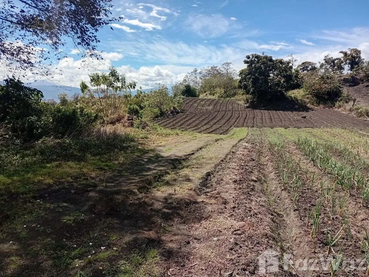 Land for Sale at Condominio Florencia for $63,000
