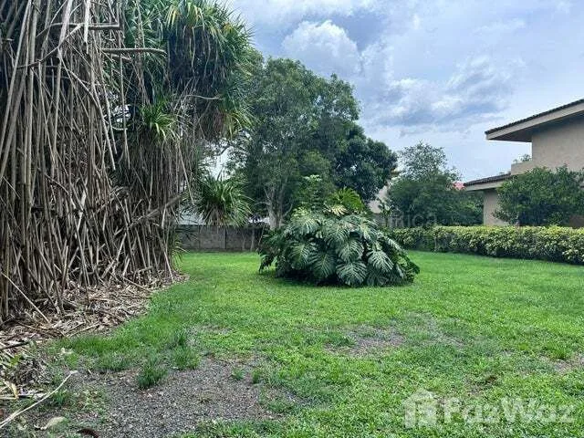 Land for Sale at Villa Colon for $95,000