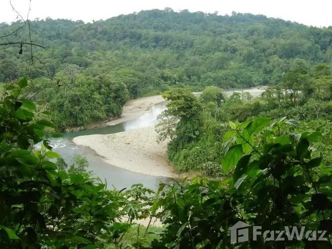 Land for Sale in Limon, Limon for $200,000