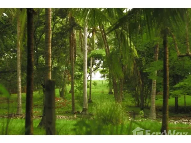 Land for Sale in Santa Cruz, Guanacaste for $129,000