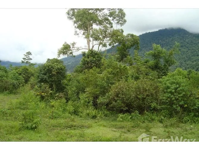 Land for Sale in Golfito, Puntarenas for $705,000