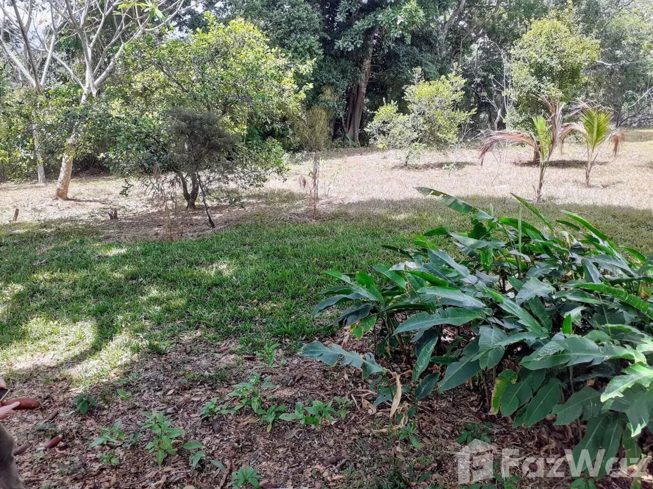 Land for Sale in Mora, San Jose for $56,426