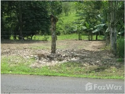 Land for Sale in Puntarenas, Puntarenas for $3,522,500