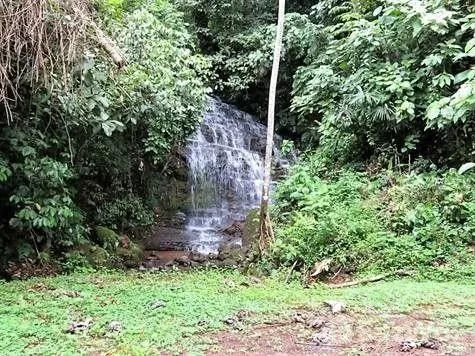 Land for Sale in Perez Zeledon, San Jose for $189,000
