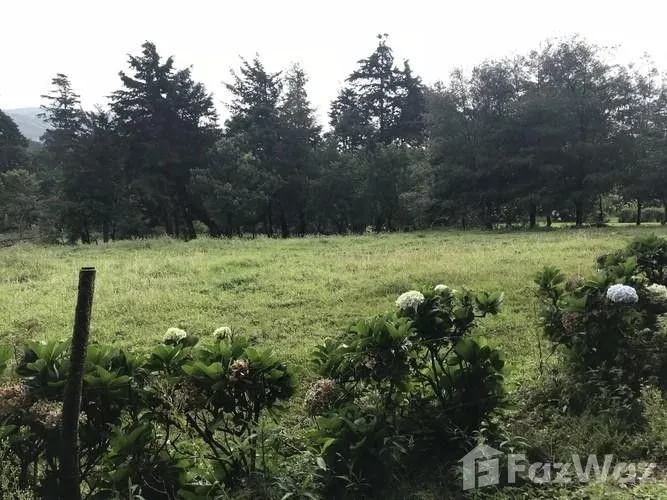 Land for Sale in Alajuela, Alajuela for $132,000
