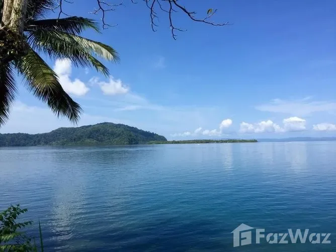 Land for Sale in Golfito, Puntarenas for $175,000