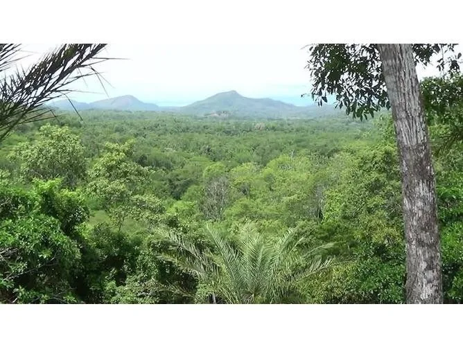 5 Bedroom House for Sale in Puntarenas, Puntarenas for $3,155,000