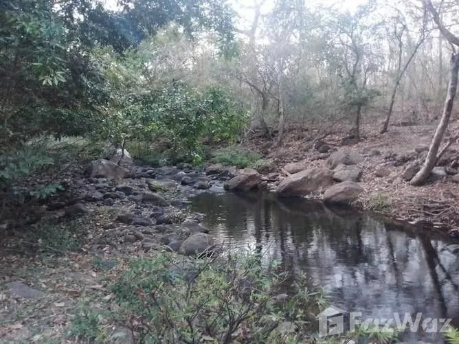 Land for Sale in Bagaces, Guanacaste for $295,000