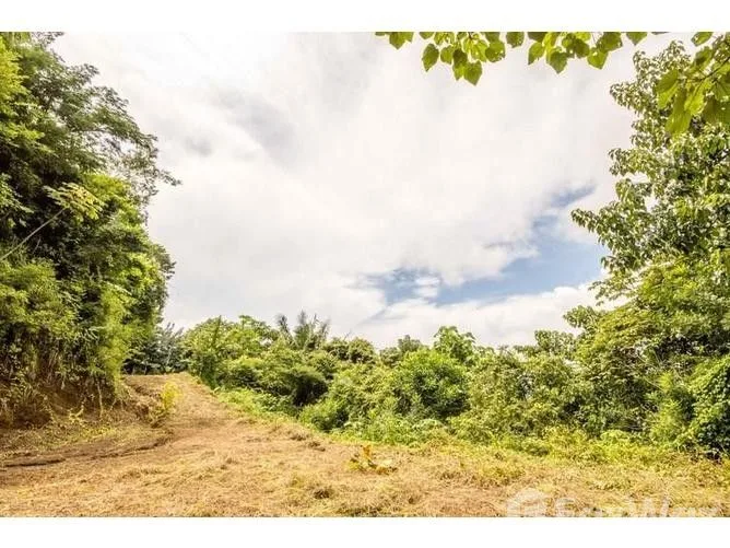 Land for Sale in Nicoya, Guanacaste for $179,000