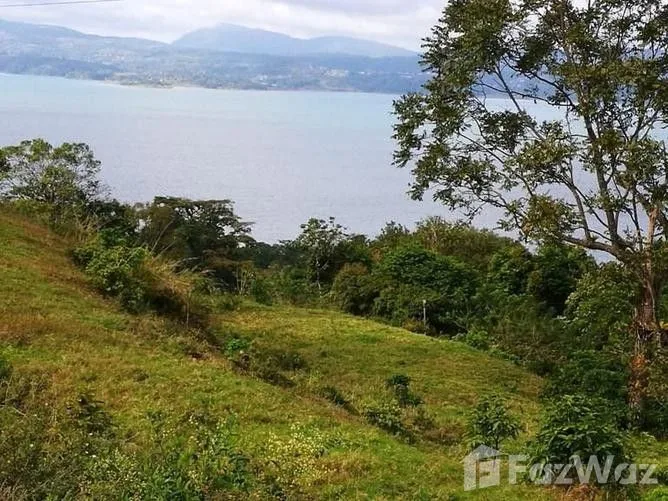 Land for Sale in Tilaran, Guanacaste for $150,000