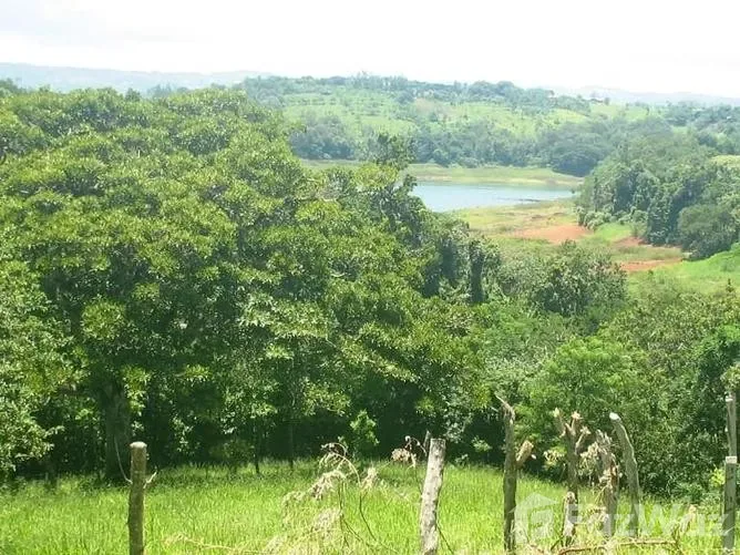 Land for Sale in Tilaran, Guanacaste for $45,000