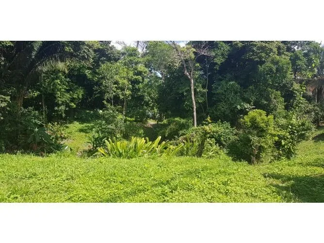 Land for Sale at Manuel Antonio for $350,000