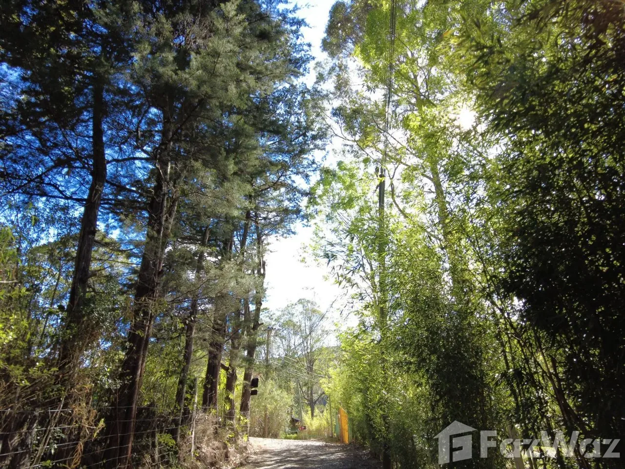 Land for Sale in Dota, San Jose for $181,000