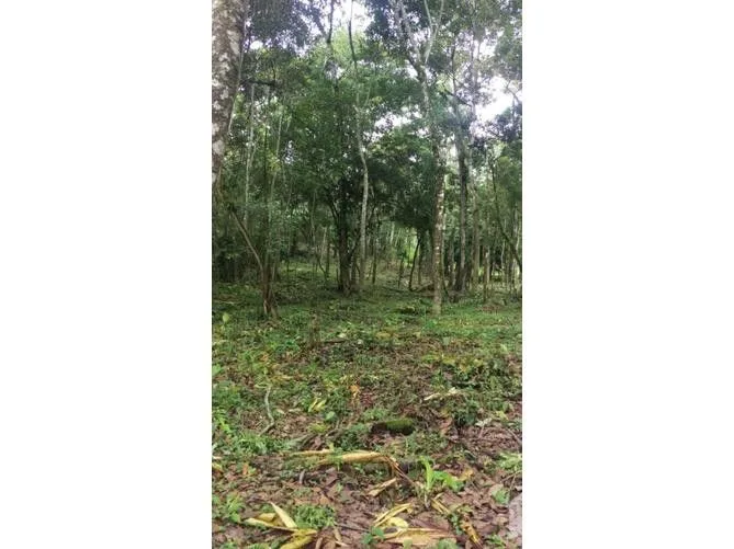 Land for Sale in La Union, Cartago for $315,000
