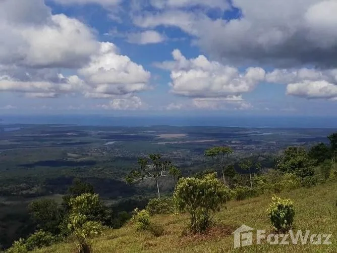 Land for Sale in Osa, Puntarenas for $195,000