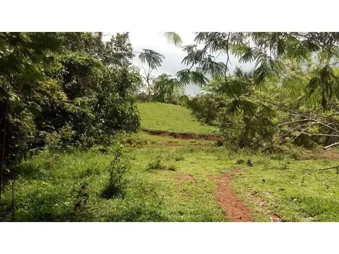Land for Sale in Turrubares, San Jose for $3,500,000 — photo 5
