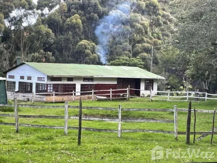 Land for Sale in Dota, San Jose for $352,000