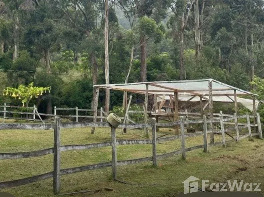 Land for Sale in Dota, San Jose for $352,000 — photo 3