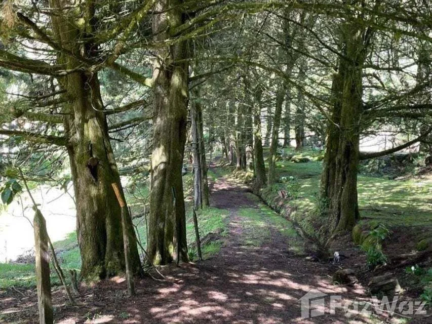 Land for Sale in Dota, San Jose for $352,000 — photo 4