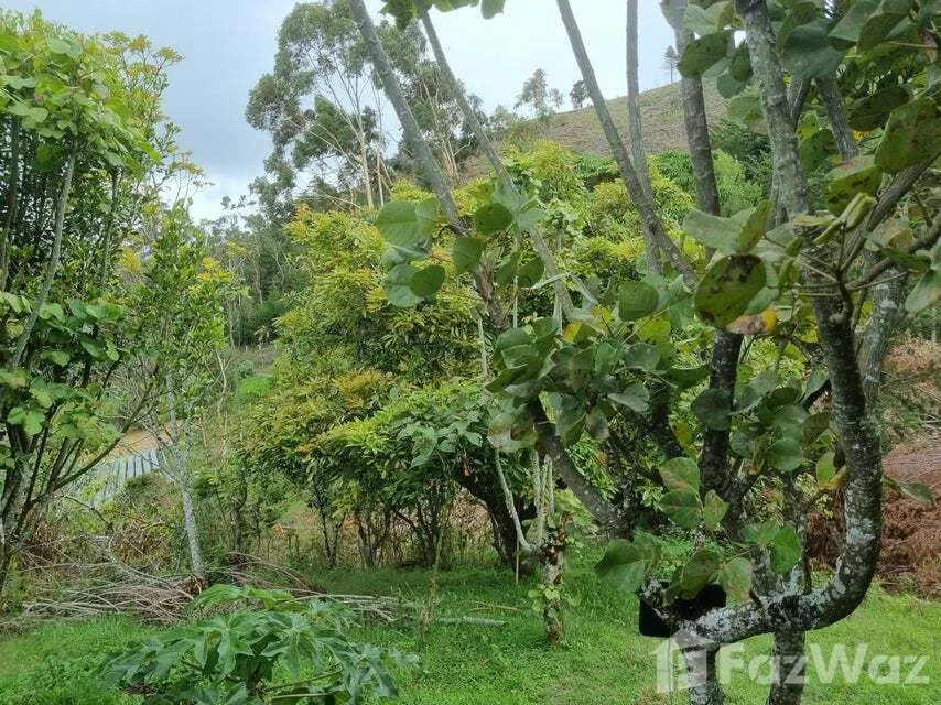 Land for Sale in Dota, San Jose for $352,000 — photo 5