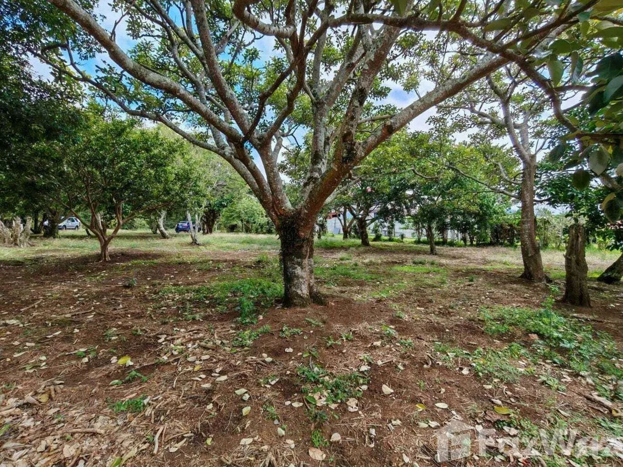 Land for Sale in San Rafael, Heredia for $340,000