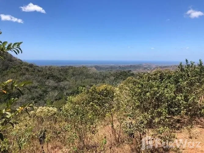 Land for Sale in Santa Cruz, Guanacaste for $125,000