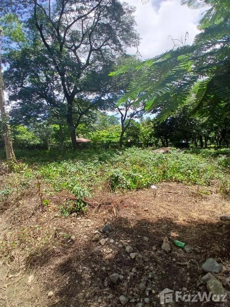 Land for Sale in Carrillo, Guanacaste for $56,000