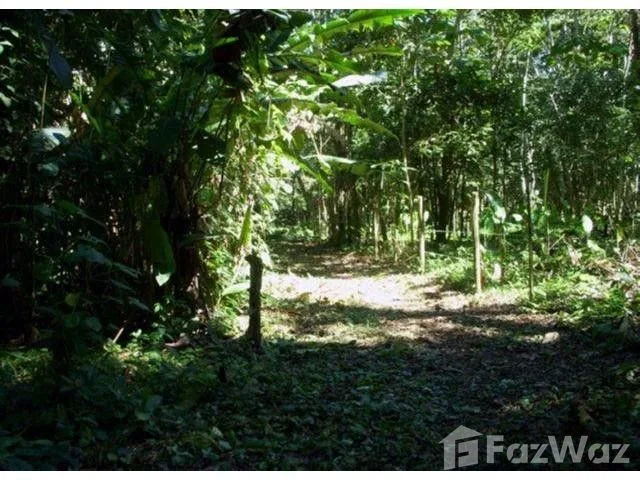 Land for Sale at Limón for $542,895