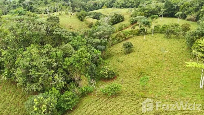 Land for Sale in Perez Zeledon, San Jose for $900,000