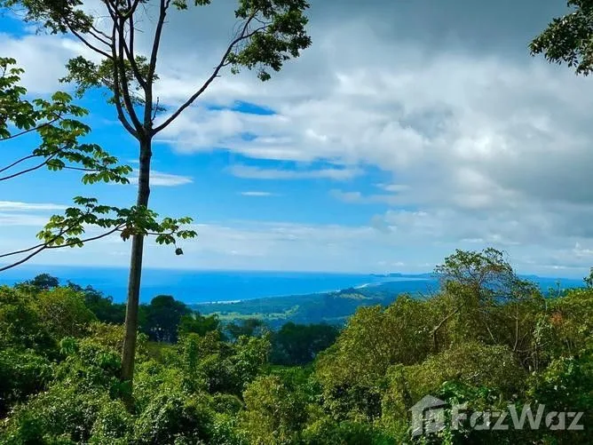 Land for Sale in Aguirre, Puntarenas for $85,000