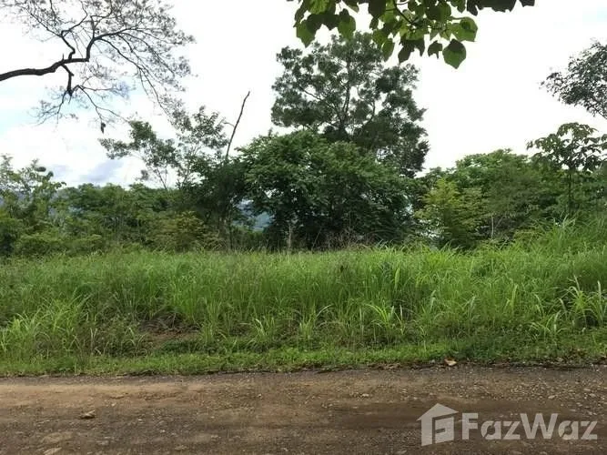 Land for Sale in Hojancha, Guanacaste for $308,503
