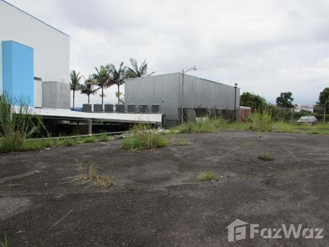 Land for Sale at Zapote for $695,000
