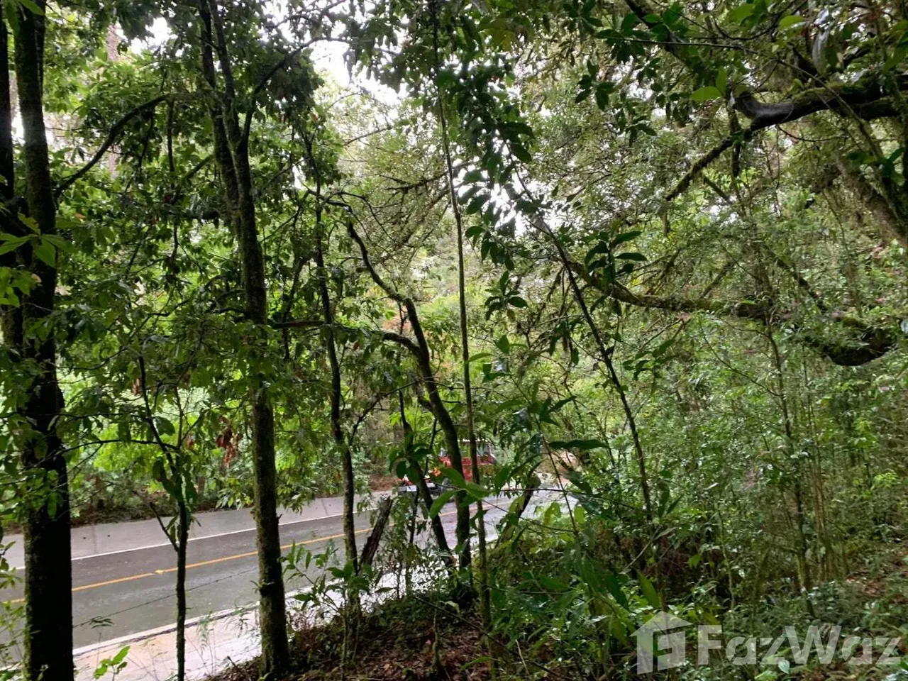 Land for Sale in Dota, San Jose for $100,000