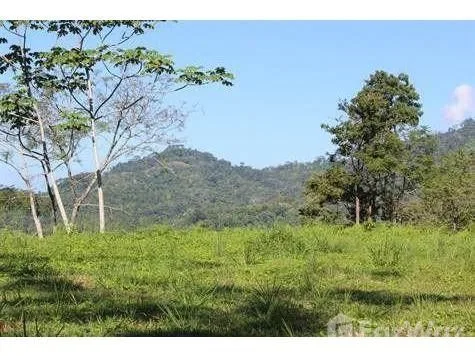 Land for Sale in Osa, Puntarenas for $91,000