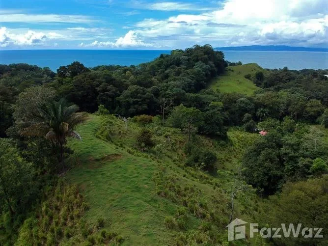 Land for Sale in Golfito, Puntarenas for $3,000,000