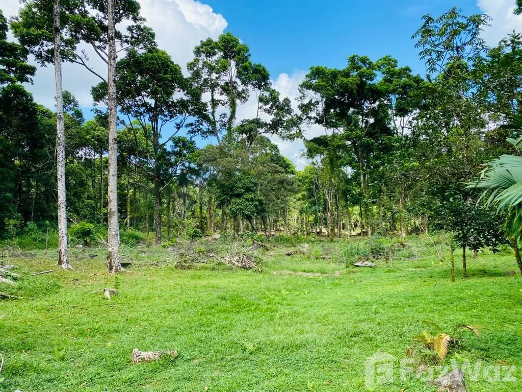Land for Sale in Pococi, Limon for $275,000