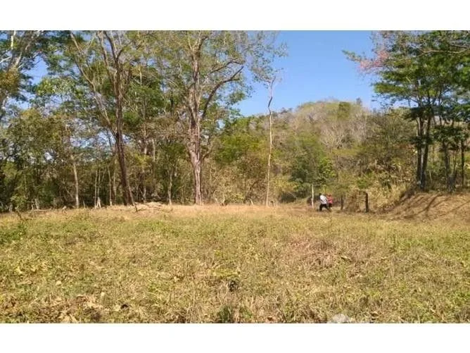 Land for Sale at Playa Samara for $48,000