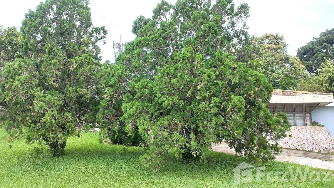 Land for Sale in Goicoechea, San Jose for $1,643,440 — photo 4