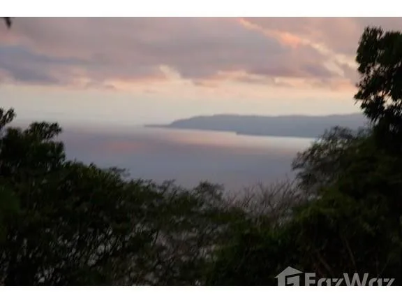 Land for Sale in Golfito, Puntarenas for $600,000