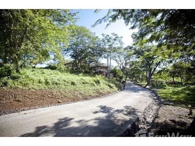 Land for Sale in Santa Cruz, Guanacaste for $169,000