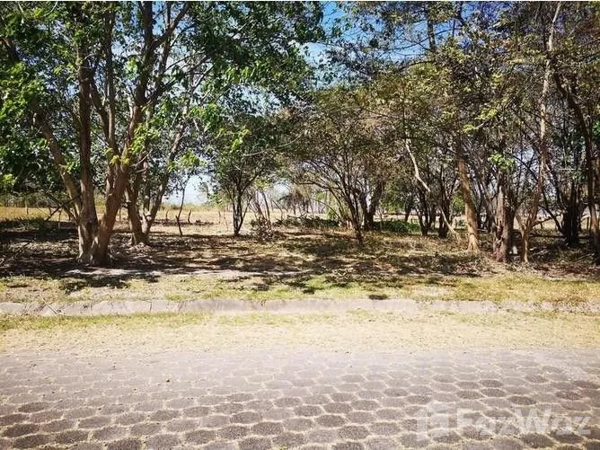 Land for Sale in Santa Cruz, Guanacaste for $125,000