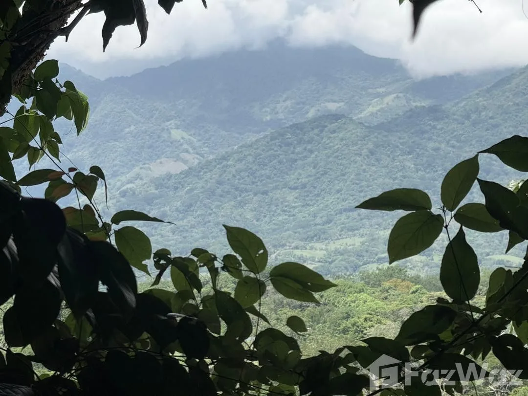 Land for Sale in Turrubares, San Jose for $160,000