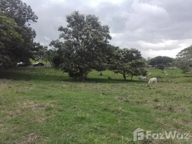 Land for Sale in Alajuela, Alajuela for $1,700,000