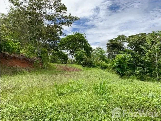 Land for Sale in Perez Zeledon, San Jose for $50,000